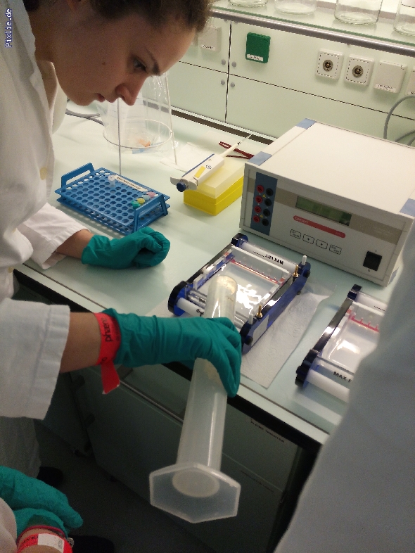 http://www.beruflichesgymnasium.de/pixlie/cache/vs_Phaeno 2017_8 Genlabor. Einfüllen des Gels für die Gelelekrophorese. Foto KALM.jpg